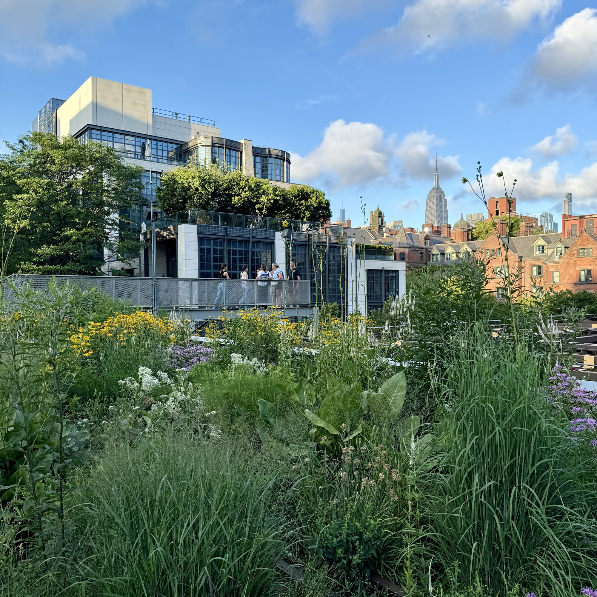 The High Line